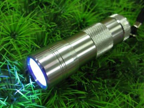 12 LED UV flashlight