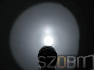 CREE LED & Xenon Bulb for Flashlight